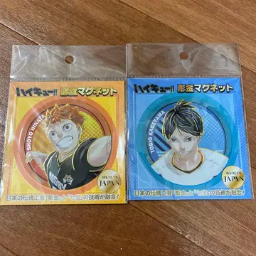 하이큐!! 조각 마그넷 세트 히나타 쇼요 카게야마 토비오