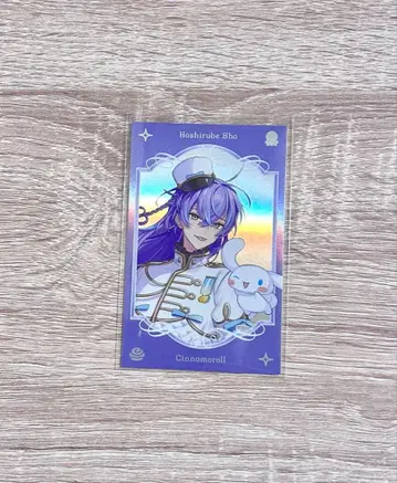 디티카 산리오 포토풍 카드 호시미치 쇼