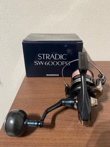 스트라딕 SW6000 PG