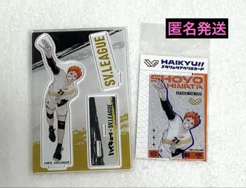 하이큐 V 리그 히나타 쇼요 세트