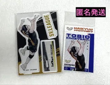 하이큐 V 리그 카게야마 토비오 세트