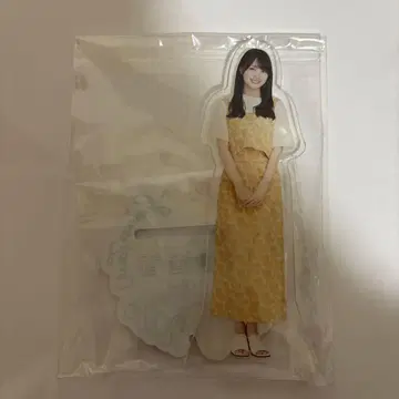 노기자카46 한여름 전국 투어 2023 카키 하루카 아크릴 스탠드