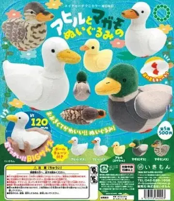 NTC MONO 오리와 청둥오리 봉제 인형 세트 전 5종