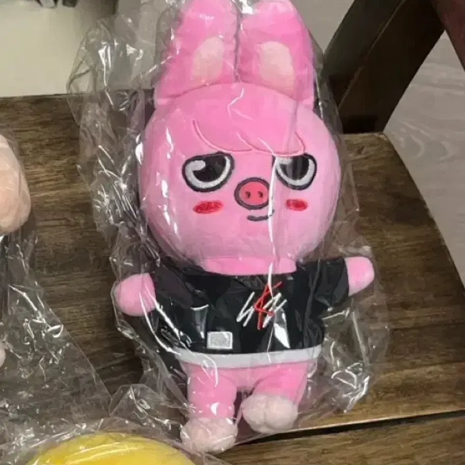 Nct Wish random color wish doll riku kuri pop up md doll | Bunjang
