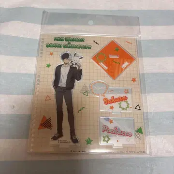 사쿠라 하루카 아크릴 스탠드 포차코