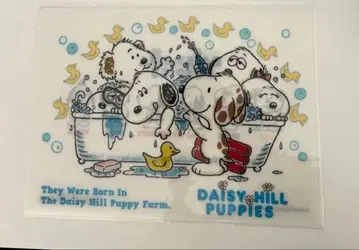 스누피타운 클리어 파일 Daisy Hill Puppies