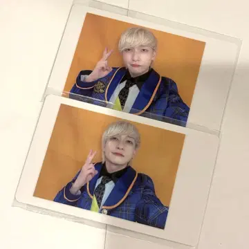 팬더드래곤 하피카 요우타