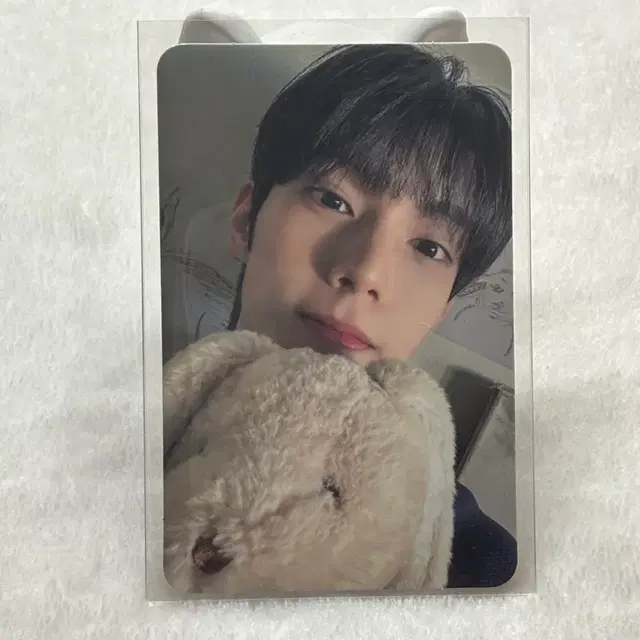 최립우 포카 양도 앨범