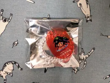 환상수호전 I&II전 블라인드 목욕탕 락커 키 봇짱