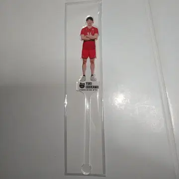 배구 네이션스 리그 2025 이시카와 유키 아크릴 스틱