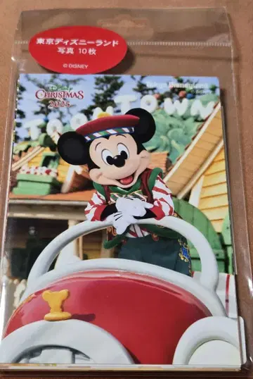 디즈니랜드 크리스마스 미키마우스와 친구들 사진