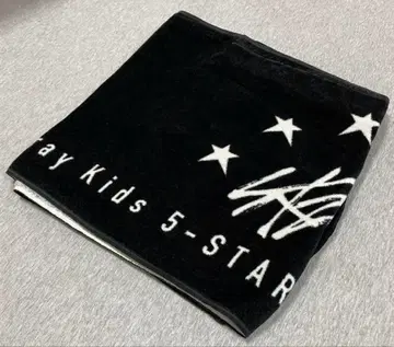 straykids 스키즈 업그레이드 후드 타월