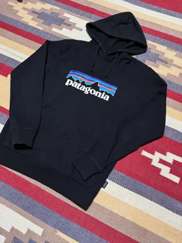파타고니아 후드티