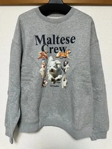 Maltese Crew 와이케이 그레이 트레이닝복 속기모 있음
