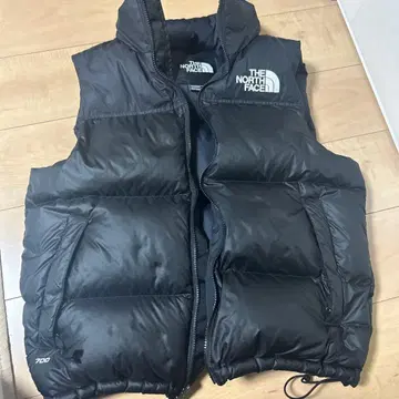 THE NORTH FACE US 규격 700필 다운 베스트