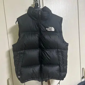 THE NORTH FACE 1996 다운 베스트 700필