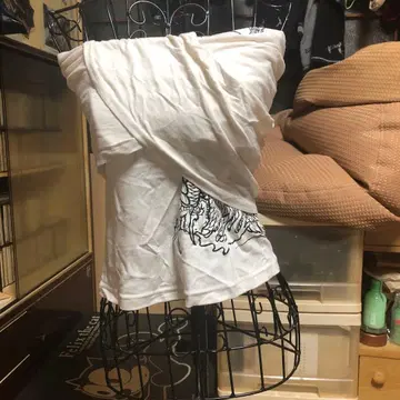 큐티 플래시 사라시