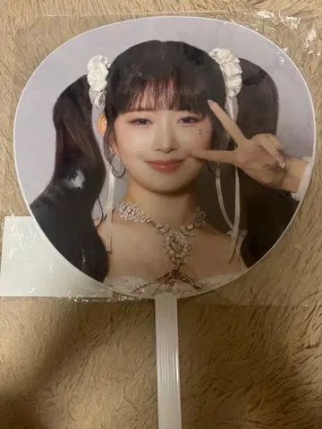 IVE 레이 부채 show what i have japan 도쿄돔