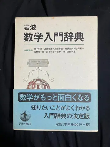 이와나미 수학 입문 사전