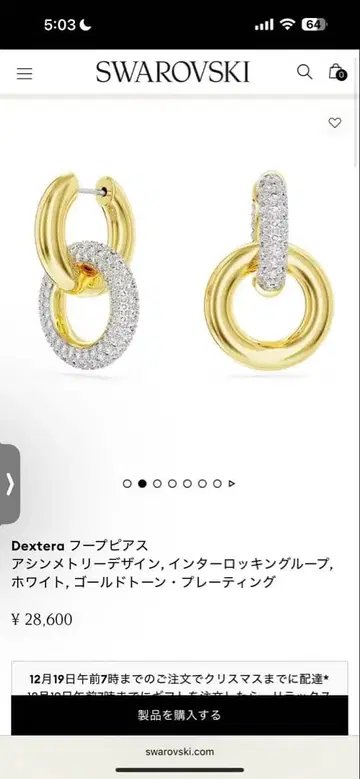 Dextera 후프 귀걸이