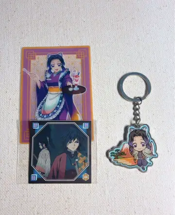 코쵸우 시노부 묶음 판매 5점