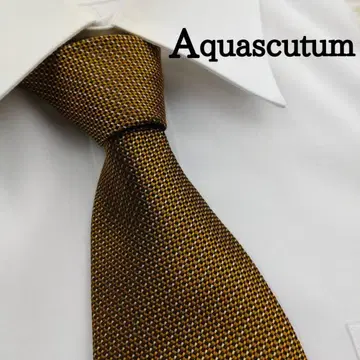 아쿠아 스큐텀 고급 실크 넥타이 올 패턴 베이지