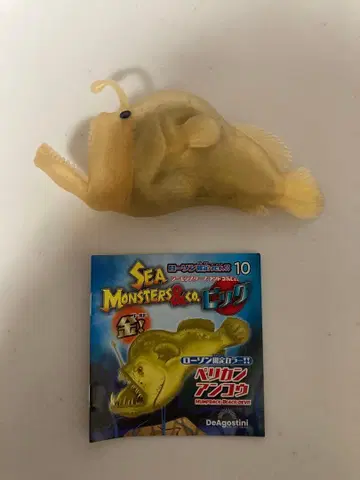 씨 몬스터즈 & co. 펠리칸 아귀 금