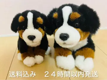 레갈로, 버니즈 마운틴 도그 대소 봉제 인형 세트 개 강아지