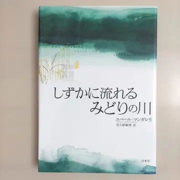 조용히 흐르는 초록 강