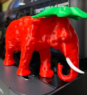 이탈리안 레인 로트 스트로베리 엘리펀트