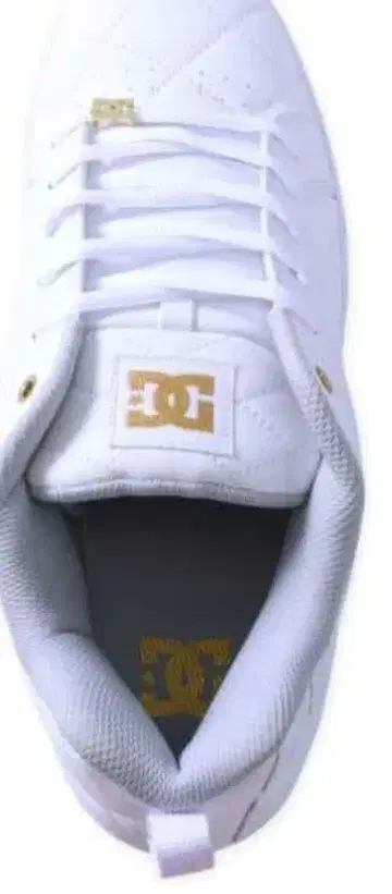 디시 슈즈 DCSHOES 스니커즈 ALLIANCE SE SN2