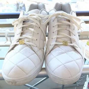 디시 슈즈 DCSHOES 스니커즈 ALLIANCE SE SN2