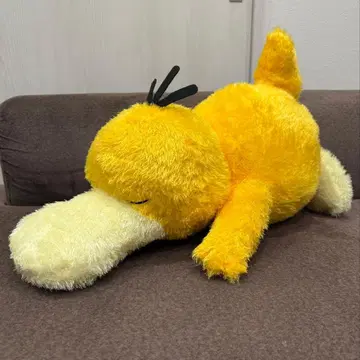 포켓몬스터 메챠모후굿토 쿠츠로기 타임 봉제 인형 코닥