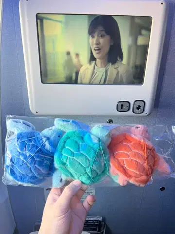 보송보송한 원단과 방긋 웃는 HONU 마스코트 세트 ANA 플라잉 호누