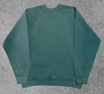 90s 미국산 FRUIT OF THE ROOM 맨투맨 귀 페이드 L