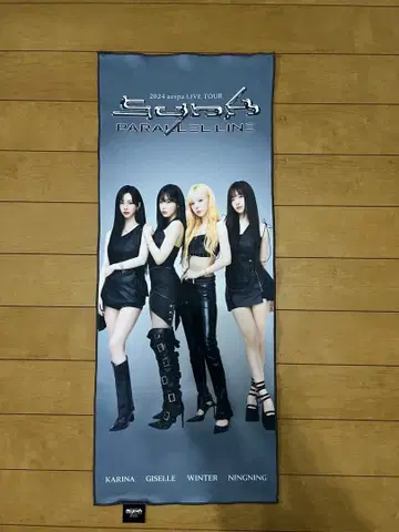 aespa 2024 LIVE TOUR 타월