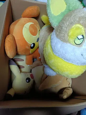 포켓몬 봉제 인형 4개 묶음 판매