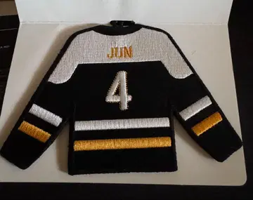 SEVENTEEN HOME WAPPEN KEYRING 준