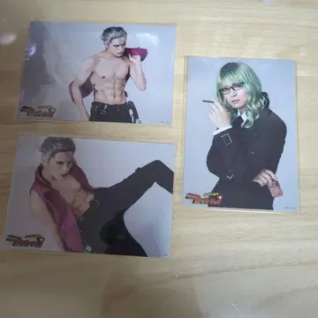 럭키독 스테이지 박시 베르나르도 무대 랜덤 브로마이드