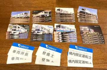 오다큐선 차량 카드 명찰 카드 모코롱