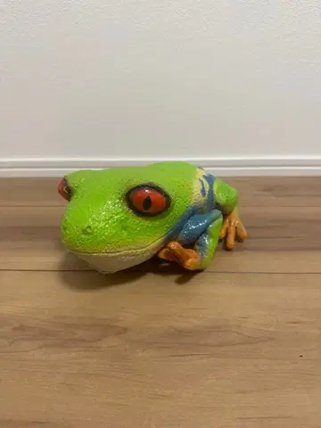 라텍스 모델 아카메 청개구리 소프트 개구리 피규어 봉제 인형