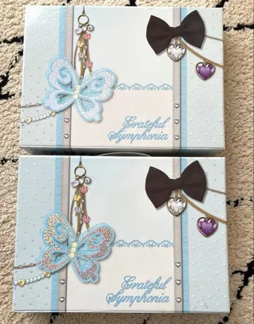 프리즘 스톤 트렁크 심포니아 2 케이스