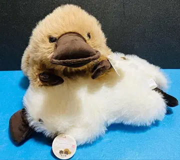 사이좋게 지내자 오리너구리 큼직한