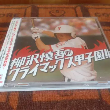 야나기사와 신고의 클라이맥스 갑자원!!