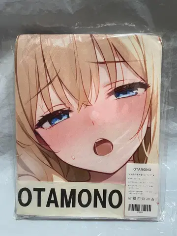 16844 거대 방패의 용사 필로