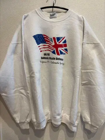 헤인즈 맨투맨 트레이닝복 사이즈 XL