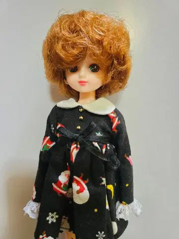 리카짱 캐슬/아프로리카짱 의류 포함