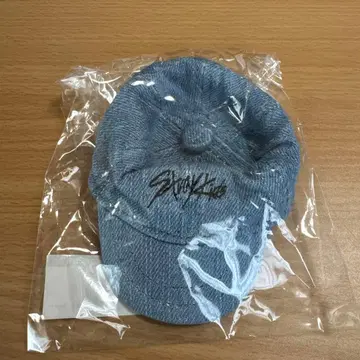 Stray Kids 미니캡 키링