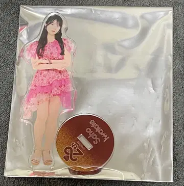 AKB48 이와타테 사호 20주년 무도관 복권 아크릴 스탠드