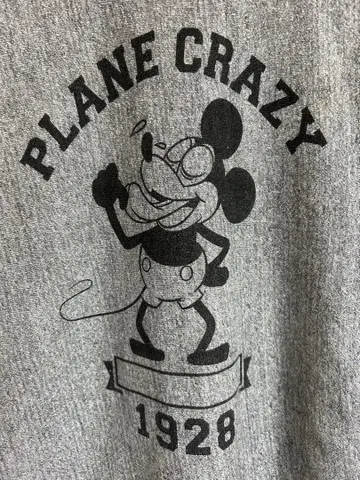 Champion REVERSE WEAVE